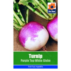 Turnip Purple Top White Globe Seeds