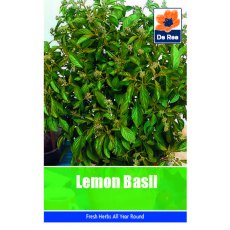 Lemon Basil Seeds