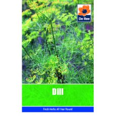 Dill Seeds