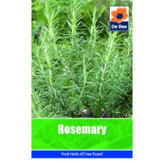 Rosemary Seeds