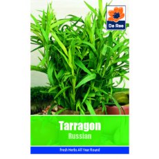 Tarragon Russian Seeds