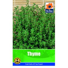 Thyme Seeds