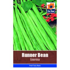 Runner Bean Enorma Seeds