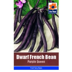 Dwarf French Bean Purple Queen Seeds