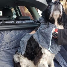 Henry Wag Glove Drying Towel