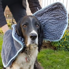 Henry Wag Noodle Glove Towel