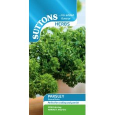 Suttons Herb Curled Parsley Grune Perle Seeds
