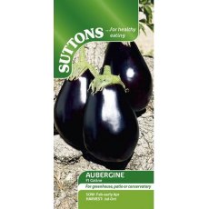 Aubergine Galine Seeds