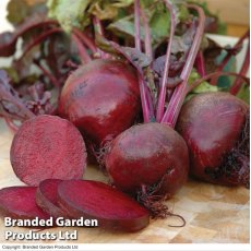 Beetroot Boltardy Seeds