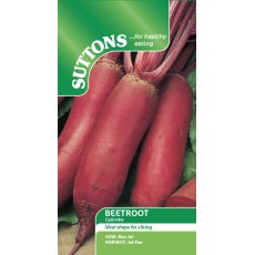 Suttons Beetroot Cylindra Seeds