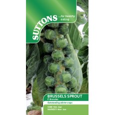 Suttons Brussels Sprouts Brenden F1 Seeds