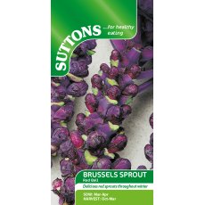 Suttons Red Ball Brussel Sprout Seeds