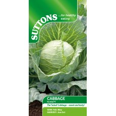 Suttons Sunta Cabbage F1 Seeds