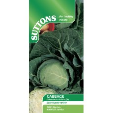 Suttons Cabbage Golden Acre Primo Seeds