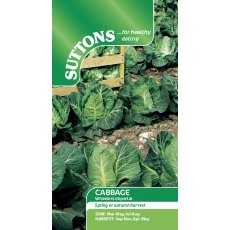 Suttons Cabbage Wheelers Imperial Seeds