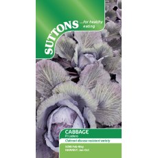 Suttons Cabbage F1 Lodero Red Seeds