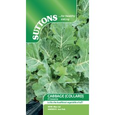 Cabbage F1 Sweetie Seeds