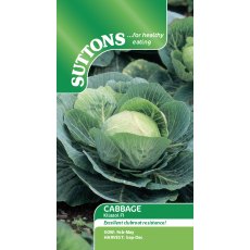 Cabbage Kilazol F1 Clubroot Resistant Seeds