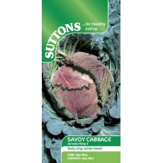 Suttons Savoy Cabbage January King 3 Seeds