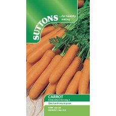 Carrot Amsterdam Forcing 3 Seeds