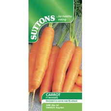 Carrot Resistafly F1 Seeds