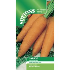 Carrot Autumn King 2 Seeds