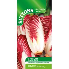 Suttons Chicory Rossa Di Treviso Seeds