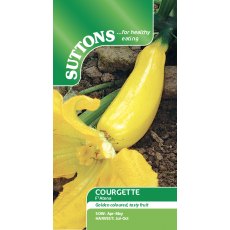 Suttons Courgette Atena F1 Seeds