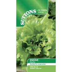 Suttons Endive Natacha Seeds