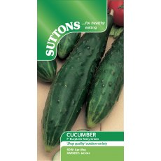 Cucumber Burpless Tasty Green F1 Seeds