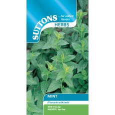 Mint Seeds