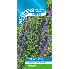 Suttons Blue Hyssop Herb Seeds