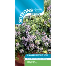 Sutton's Thyme Orange Scented Seeds
