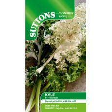Suttons Kale Frost Byte F1 Seeds