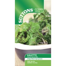 Suttons Brussels Sprouts Flower Sprout Mix Seeds
