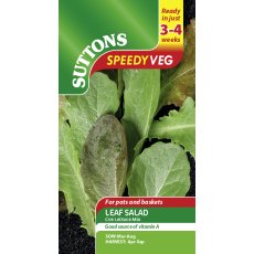 Leaf Salad Cos Lettuce Speedy Veg Seeds