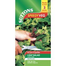 Leaf Salad Lettuce Mix Speedy Veg Seeds