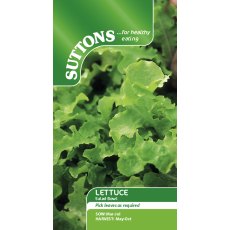 Lettuce Salad Bowl Seeds