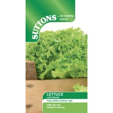 Suttons Lettuce Lollo Bionda Seeds