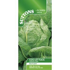 Suttons Lettuce Lobjoits Green Cos Seeds