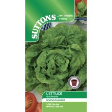 Suttons Lettuce Tom Thumb Seeds