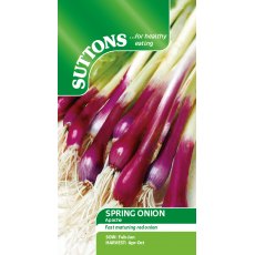 Salad Onion Apache Seeds