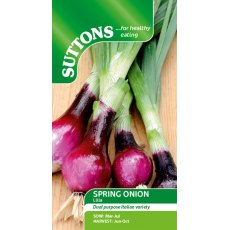 Suttons Onion Spring Lilia Seeds