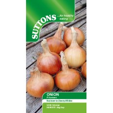 Suttons Onion Santero Seeds