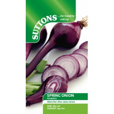 Suttons Salad Onion Purplette Seeds