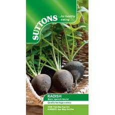 Radish Black Spanish Round Seeds