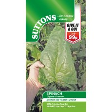 Spinach Gigante D'Inverno Seeds