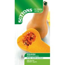 Squash F1 Butternut Hunter Seeds