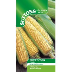 Sweet Corn Swift F1 Seeds
