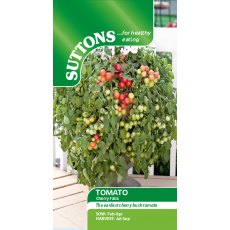 Tomato Cherry Falls Seeds
